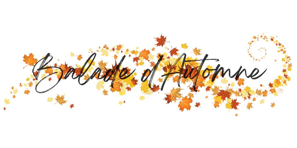 Des Louveteaux Des Neiges - Siberian Husky - Portée née le 03/10/2025